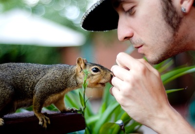 Matilda the Squirrel