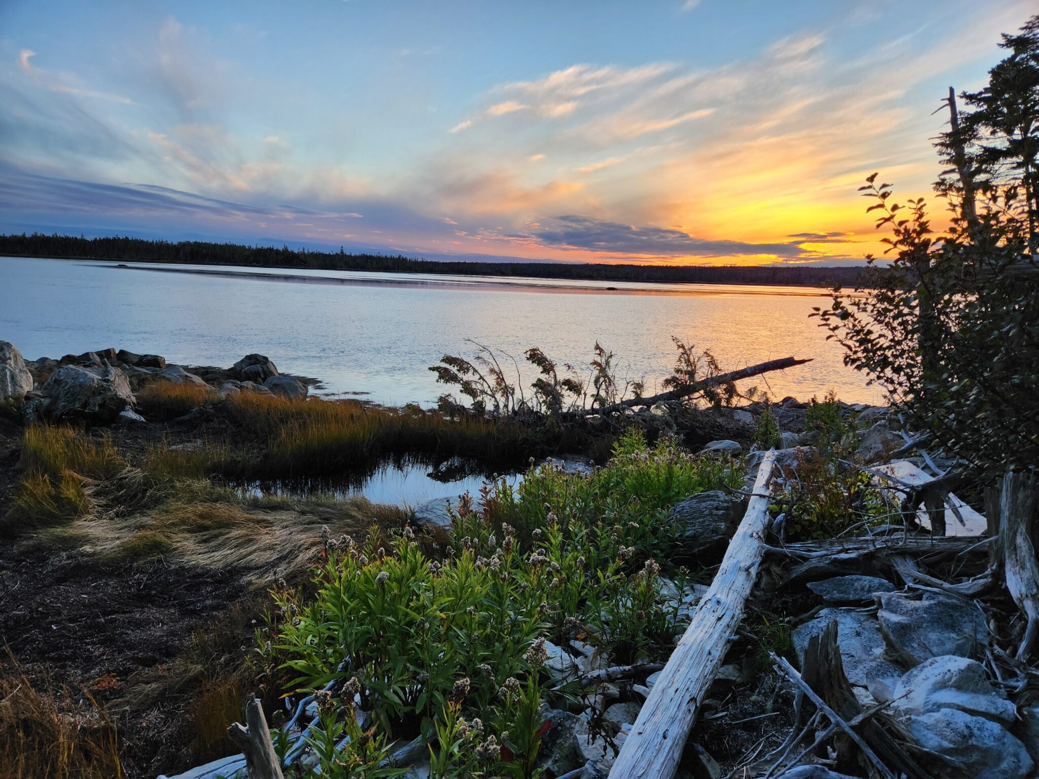 Life Outside the Box